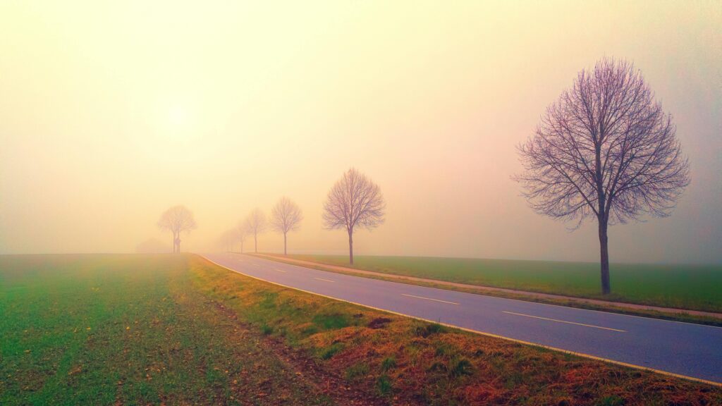 Serene foggy road lined with bare trees creating a tranquil rural landscape.