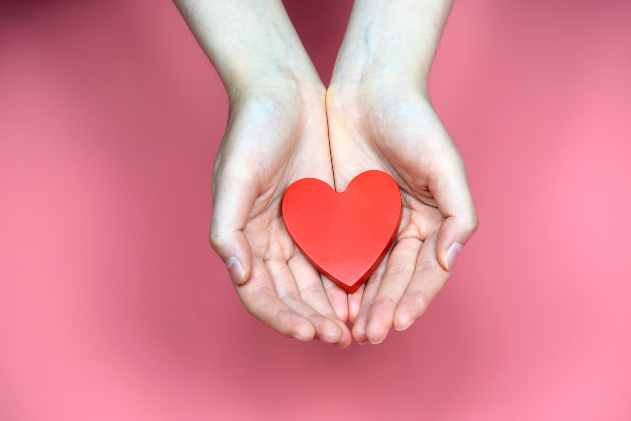 heart, hand, blood donation, care, health, medical treatment, hospital, anemia, palm